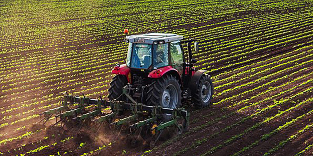 Schweizer-Landwirt